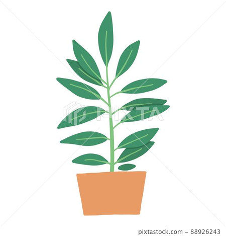 Tropical house plant pot. Ficus, monstera, protea, pellaea, succulent in various pot, vase. Scandinavian cozy home decor. Flat vector cartoon illustration isolated on white background Tropical house plant pot. Ficus, monstera, protea, pellaea, succulent in various pot, vase. Scandinavian cozy home decor. Flat vector cartoon illustration isolated on white background 88926243