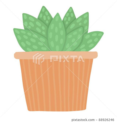 Tropical house plant pot. Ficus, monstera, protea, pellaea, succulent in various pot, vase. Scandinavian cozy home decor. Flat vector cartoon illustration isolated on white background 88926246