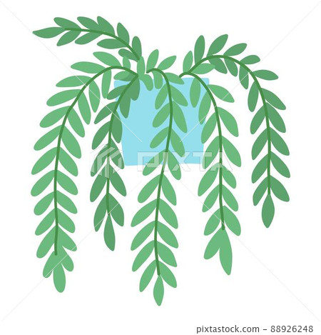 Tropical house plant pot. Ficus, monstera, protea, pellaea, succulent in various pot, vase. Scandinavian cozy home decor. Flat vector cartoon illustration isolated on white background 88926248