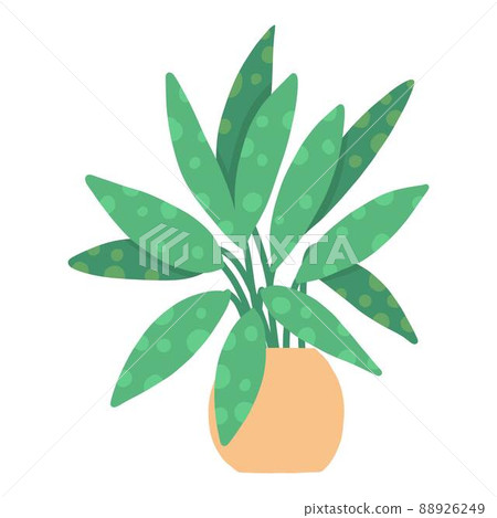 Tropical house plant pot. Ficus, monstera, protea, pellaea, succulent in various pot, vase. Scandinavian cozy home decor. Flat vector cartoon illustration isolated on white background 88926249
