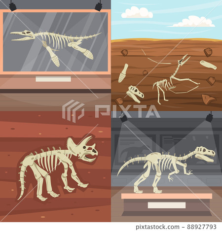 Dinosaur Skeleton Design Concept 88927793