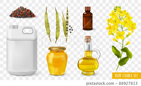 Rape Canola Transparent Set 88927813