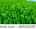 春茶領域 88928588