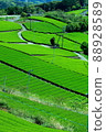 春茶領域 88928589