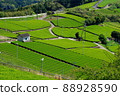 春茶領域 88928590