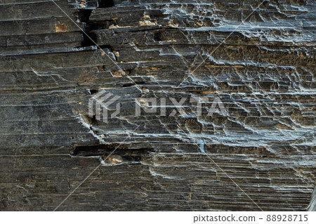 The mineral phlogopite. Close-up, background and texture of the mineral 88928715