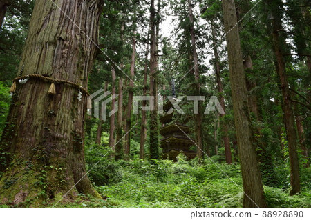 Scenery near the Haguroyama Five-story Pagoda 88928890
