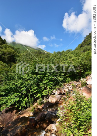 Mt. Jonen: A stream flowing along a mountain trail near Kasaharazawa and Jonen Norietsu appearing in front of it 88929395