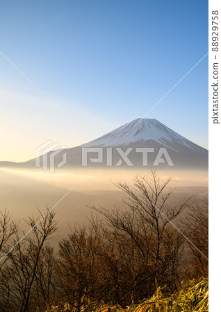 （山梨縣）日出天空，雲海和富士山/龍岳景觀 88929758