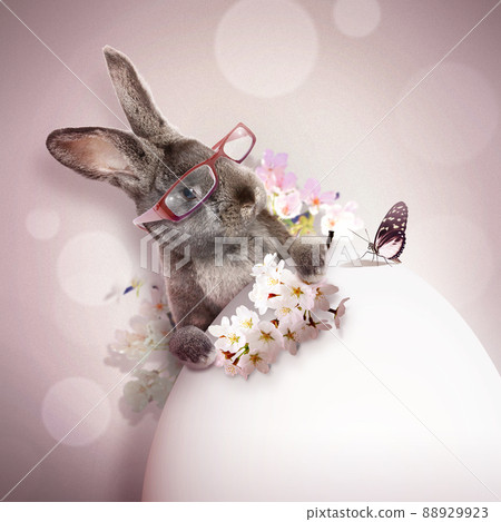 Funny Easter bunny. Happy Easter holiday concept. Funny Easter bunny. Happy Easter holiday concept. 88929923