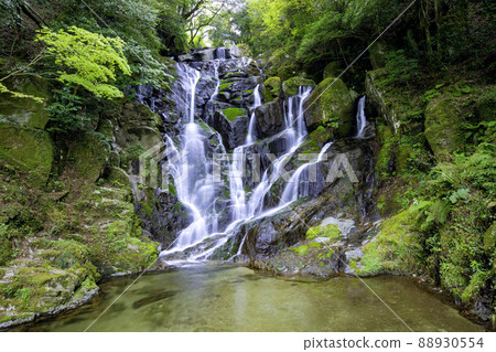 Beautiful Shiraito Waterfall, a popular tourist spot in Itoshima (Itoshima City, Fukuoka Prefecture) 88930554