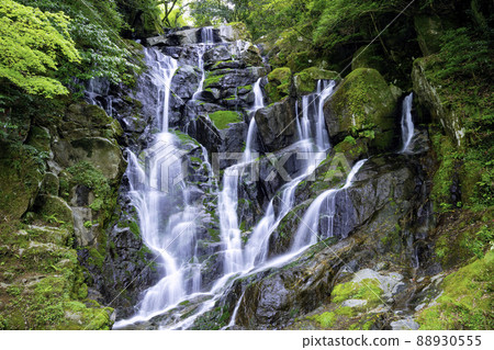 Beautiful Shiraito Waterfall, a popular tourist spot in Itoshima (Itoshima City, Fukuoka Prefecture) 88930555