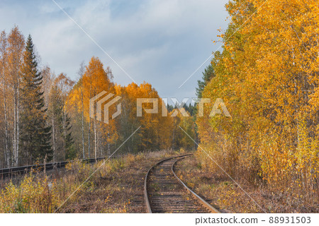 Long railway line in the forest at autumn day. Long railway line in the forest at autumn day. 88931503