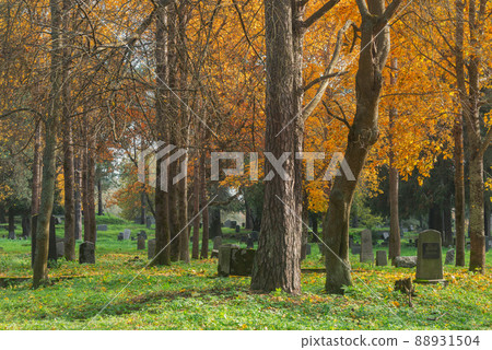 Old finnish cemetery at autumn day. Old finnish cemetery at autumn day. 88931504