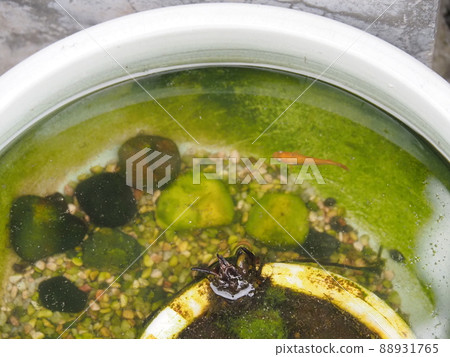 城市景觀 城市景觀 88931765