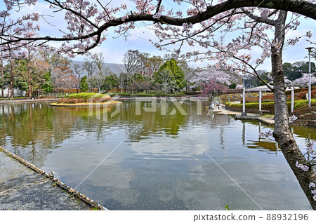 Minuma Field: Sagiyama Memorial Park Minuma Field: Sagiyama Memorial Park 88932196