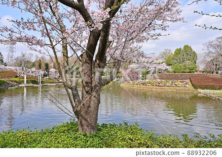 水沼場：鷺山紀念公園 88932206