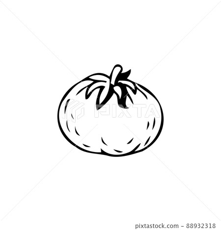 Ripe tomato thin black lines on white background - Vector Ripe tomato thin black lines on white background - Vector 88932318