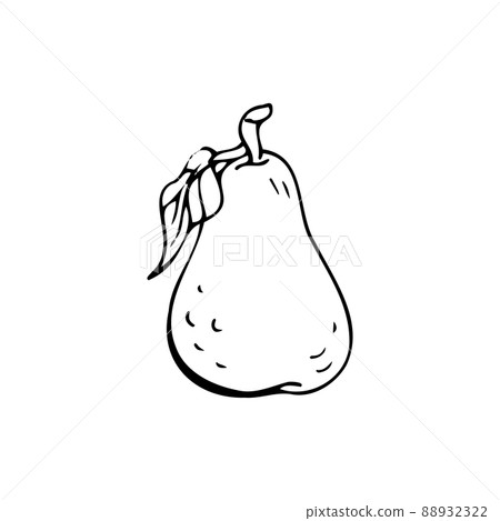 Pear thin black lines on a white background - Vector Pear thin black lines on a white background - Vector 88932322