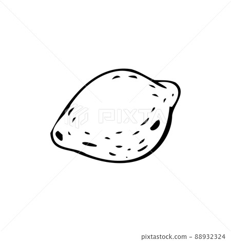 Lemon thin black lines on a white background - Vector Lemon thin black lines on a white background - Vector 88932324