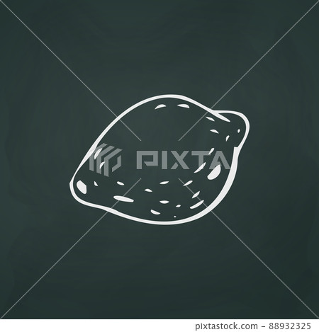 Lemon thin white lines on a textural dark background - Vector Lemon thin white lines on a textural dark background - Vector 88932325