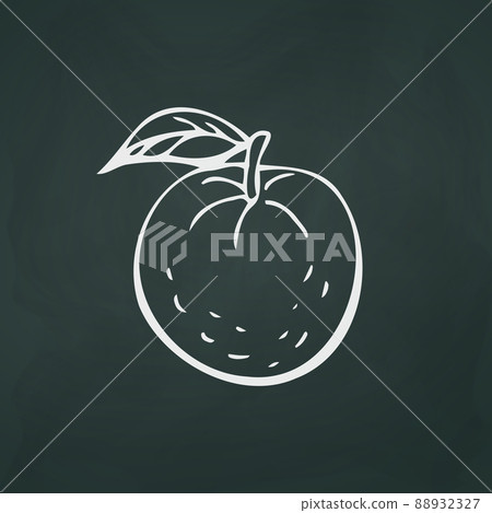 Tangerines thin white lines on a textural dark background - Vector 88932327