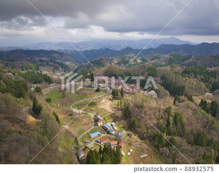 長野縣小川村立屋櫻花、番所櫻花(無人機鳥瞰圖) 長野縣小川村立屋櫻花、番所櫻花(無人機鳥瞰圖) 88932575