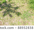 Shadows on the grass 88932838