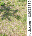 Shadows on the grass 88932839