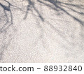Shadows of tree branches reflected on asphalt 88932840