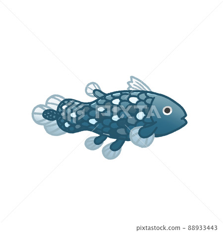 coelacanth coelacanth 88933443