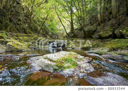 三重縣赤目 48 瀑布環繞著苔蘚岩石的兩個瀑布的風景 88933544