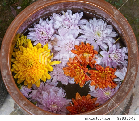 漂浮在水瓶中的五顏六色的鮮花@奈良吉野山 88933545