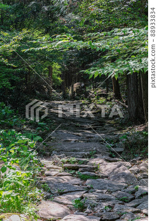 Kumano Kodo Magoshige Pass 88933834
