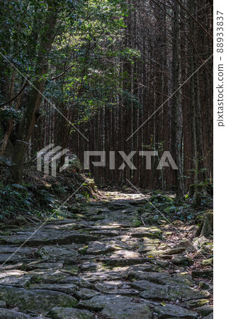 Kumano Kodo Magoshige Pass 88933837