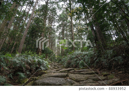 Kumano Kodo Magoshige Pass 88933952