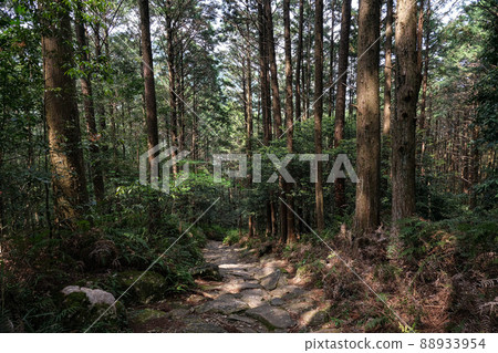 Kumano Kodo Magoshige Pass Kumano Kodo Magoshige Pass 88933954