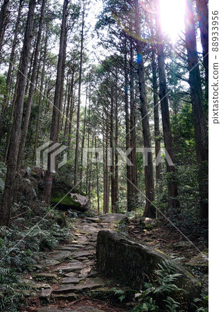Kumano Kodo Magoshige Pass Kumano Kodo Magoshige Pass 88933956