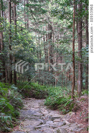 Kumano Kodo Magoshige Pass 88933968