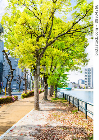 It is a riverside park that continues along the river. Please in a bright atmosphere. Hiroshima city It is a riverside park that continues along the river. Please in a bright atmosphere. Hiroshima city 88934266