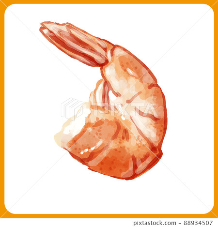 Hand drawn watercolor steamed shrimp illustration Hand drawn watercolor steamed shrimp illustration 88934507