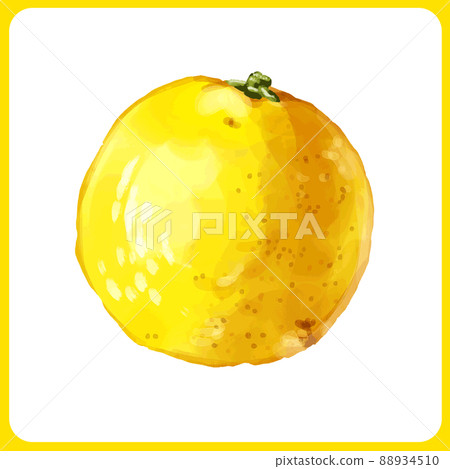 Hand drawn watercolor flower yuzu illustration 88934510