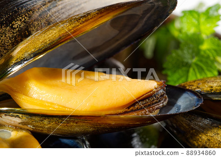 Shellfish dish. Seafood dishes. Mussels in sauce. Shellfish dish. Seafood dishes. Mussels in sauce. 88934860