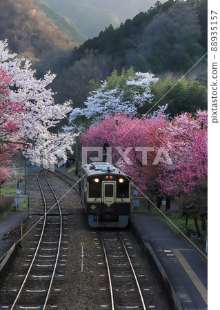 Watarase Valley Railway Hanamomo 88935157