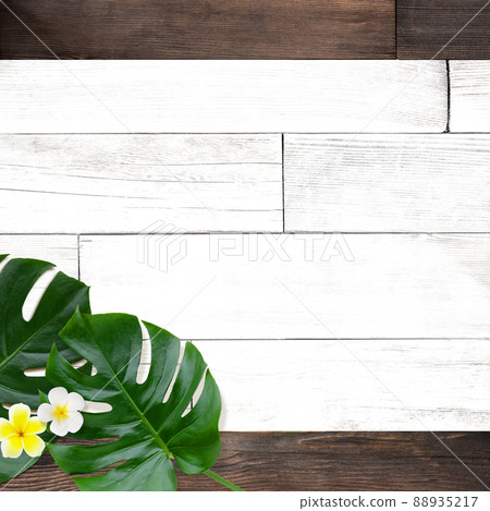 Natural background material with the image of a tropical country Natural background material with the image of a tropical country 88935217