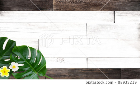 帶有熱帶國家形象的自然背景素材 帶有熱帶國家形象的自然背景素材 88935219