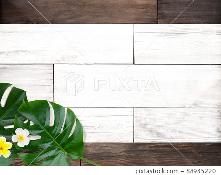 Natural background material with the image of a tropical country 88935220