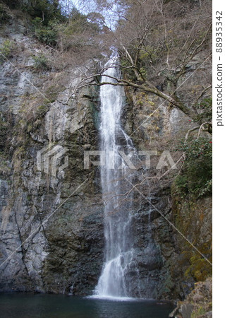 大阪箕面大瀧 88935342