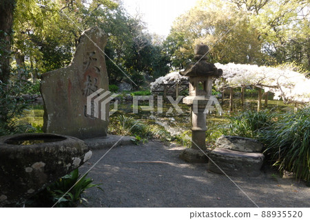 Tensha-en Garden Monument and Shiratama Up Wisteria Tensha-en Garden Monument and Shiratama Up Wisteria 88935520