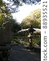 Tensha-en Garden Monument and Shiratama Up Wisteria 88935521